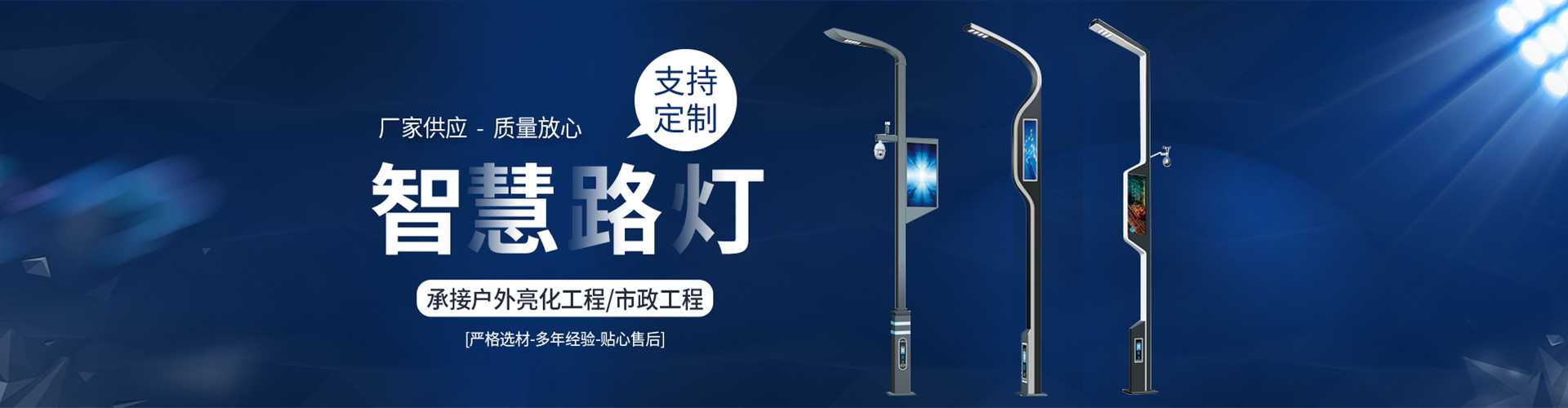 岳阳市太阳能路灯定制厂家